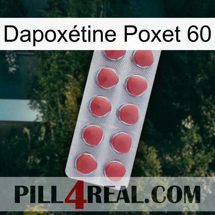 Dapoxétine Poxet 60 18